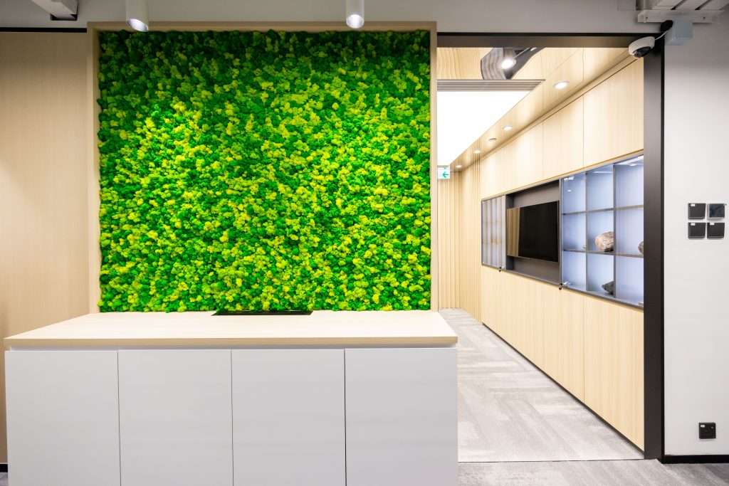 Office green wall, green office design, office design